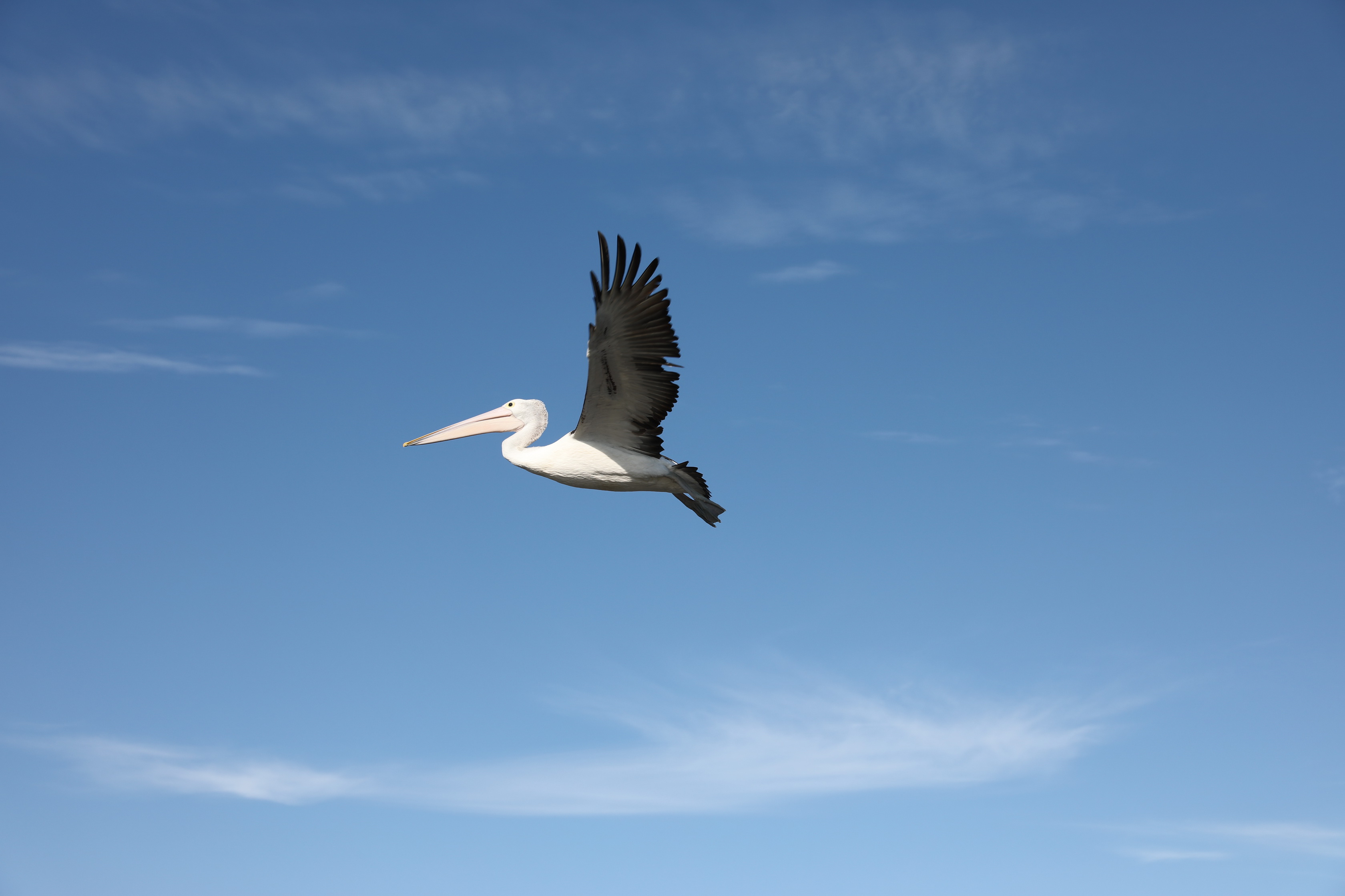 2019 10 03 16 08 12 Canon EOS 5D Mark IV 0010